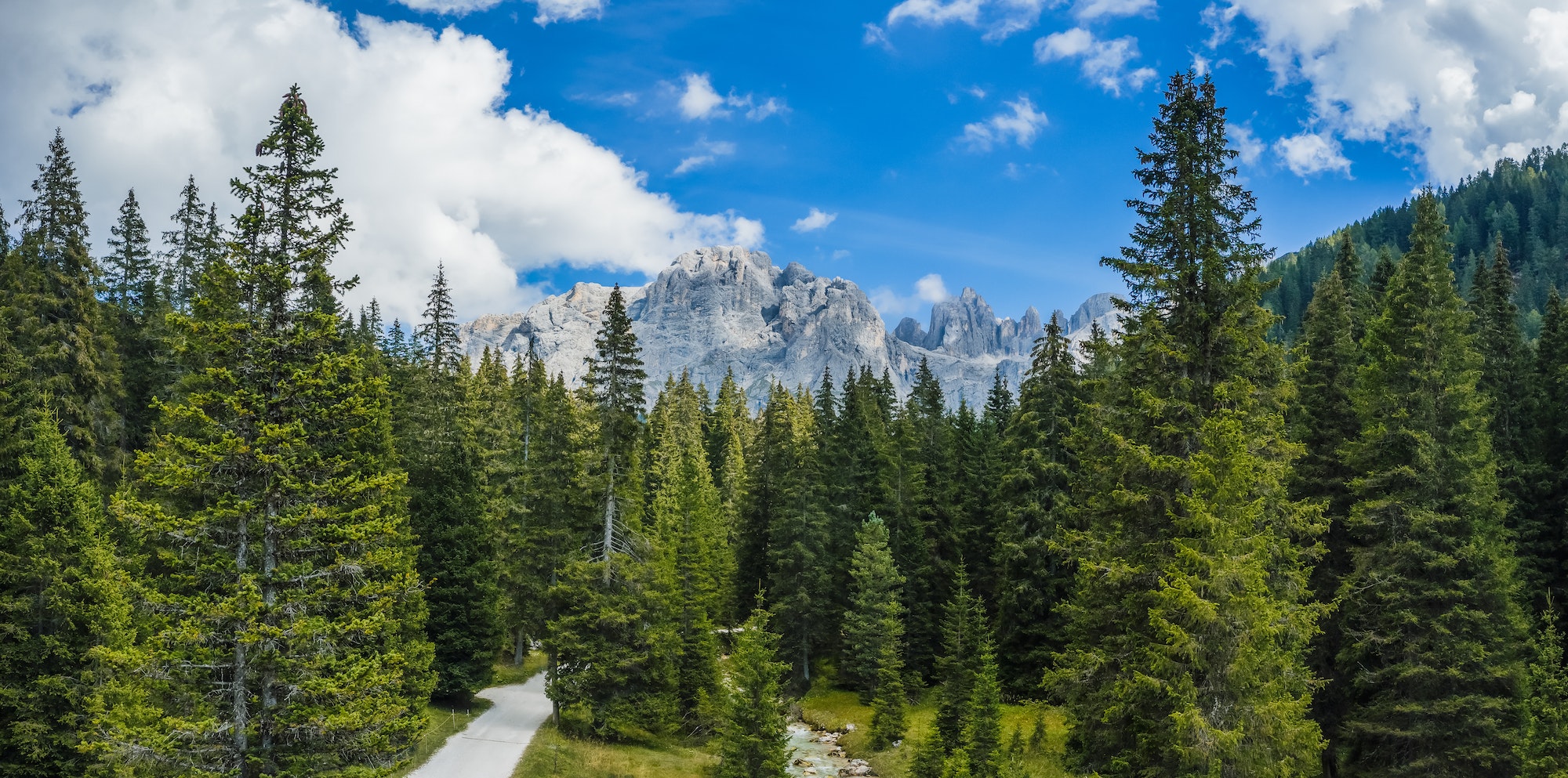 Hiking trail in Val Venegia - Trentino, Dolomites, Italy